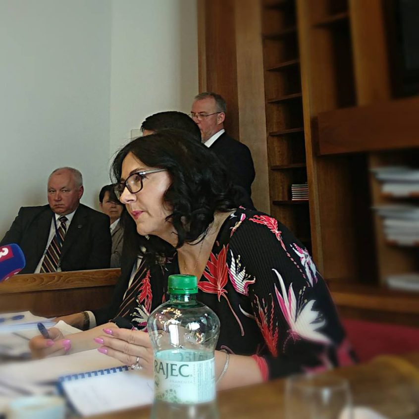 Ministerka Martina Lubyová na parlamentnom školskom výbore | Zdroj: FB poslankyne Zuzany Zimenovej